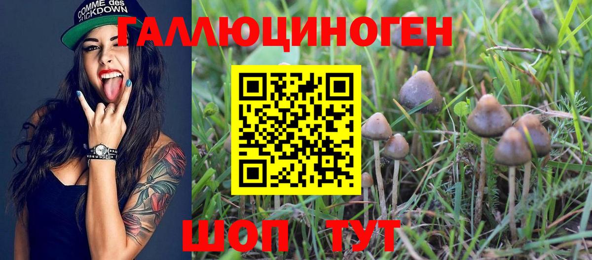 Псилоцибиновые грибы мицелий Чехов