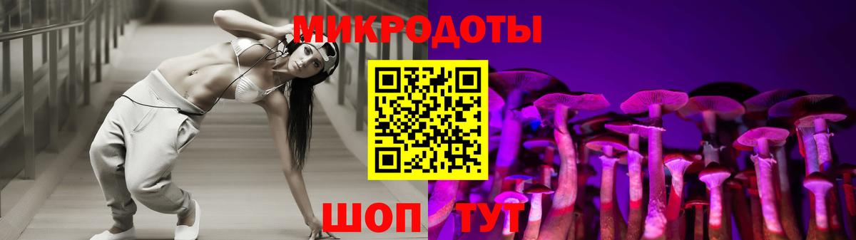 Псилоцибиновые грибы Psilocybe  Вход с VPN  Чехов  Галлюциногенные грибы Psilocybe 